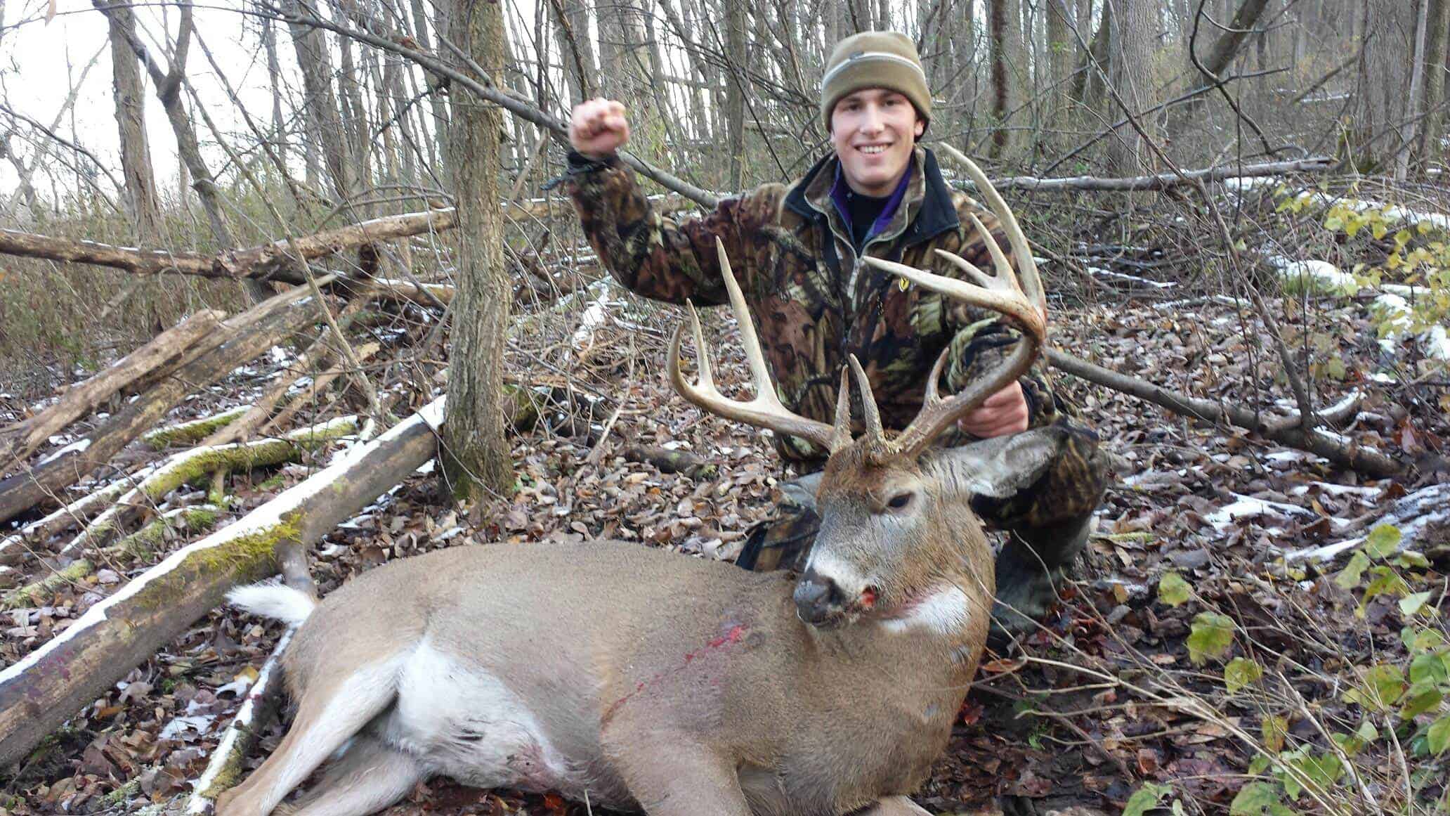 Whitetail Buck Using a Climber Stand